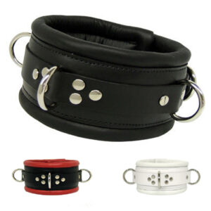 BDSM Padded Collar