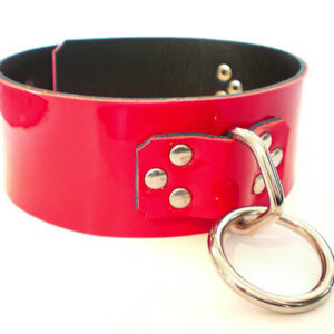 BDSM Collar With 1 V-O Ring