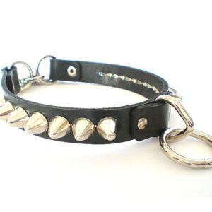 Leather Bondage Collar With Lock
