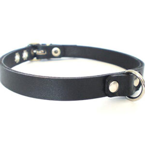 Leather D-Ring Collar