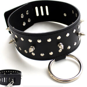 Leather Spike Ring Collar
