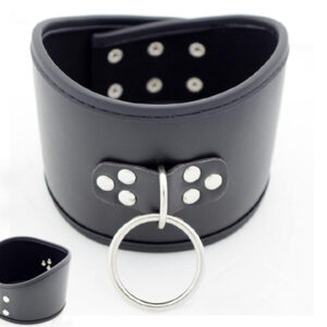 Leather Harness Neck Collar