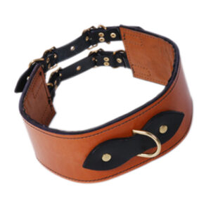 Leather Bondage Brown Collar