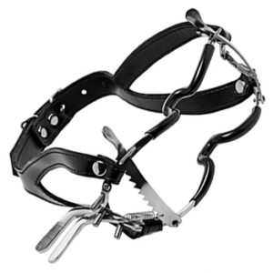 Head Gag with Locking Straps