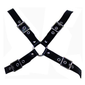 Buckle Harness