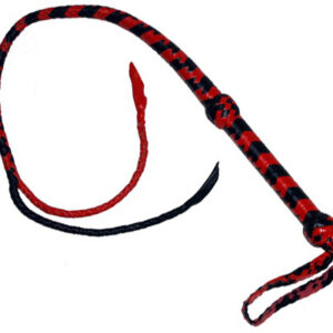 2 Petal Shape Tails Leather Whip