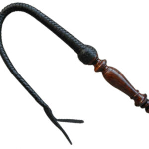 Black Leather Whip
